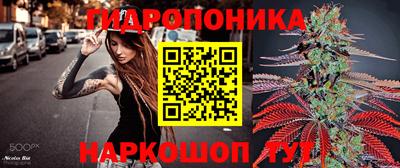 мяу мяу кристалл Тара