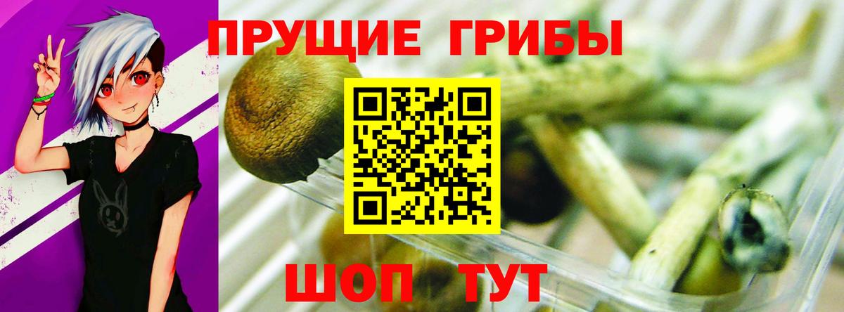 Псилоцибиновые грибы мицелий  Вход с VPN  Братск  Галлюциногенные грибы Magic Shrooms 